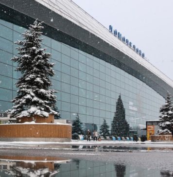 Повторный аукцион по продаже Домодедово пройдет 29 января с понижением цены