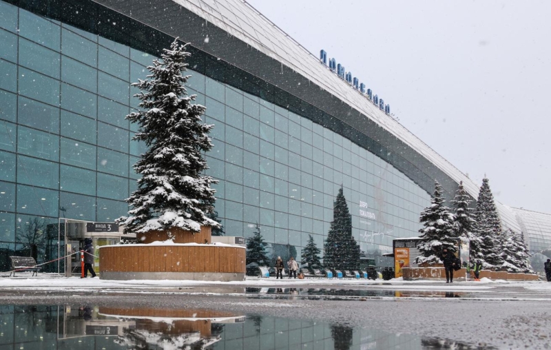 Повторный аукцион по продаже Домодедово пройдет 29 января с понижением цены