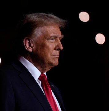 Трамп заявил о выработке совместно с Рютте рамок возможной сделки по Гренландии