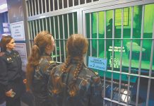 В Белоруссии практически не осталось оппозиционных структур