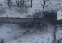 ВС РФ поразили под Красноармейском пытавшихся установить флаг солдат ВСУ