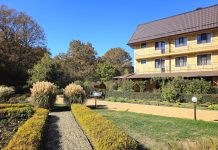 Как поддерживать здоровье нервной системы при хроническом стрессе?