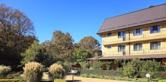 Как поддерживать здоровье нервной системы при хроническом стрессе?