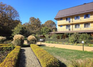 Как поддерживать здоровье нервной системы при хроническом стрессе?