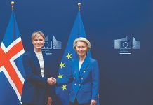 Евросоюз скоро может расшириться за счет Исландии