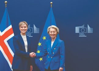 Евросоюз скоро может расшириться за счет Исландии