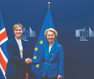 Евросоюз скоро может расшириться за счет Исландии