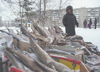 Семьи все быстрее проедают свои бюджеты