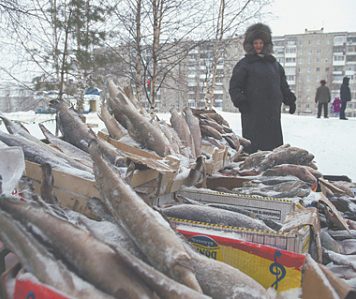 Семьи все быстрее проедают свои бюджеты