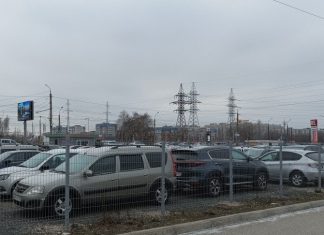 Volkswagen Polo подорожал на 7,2%, а Lada Vesta подешевела на 2,7%: стало известно, как изменились цены на 5-летние авто в России