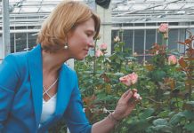 Инвестиции в сельское хозяйство России упали за год на 3,6%