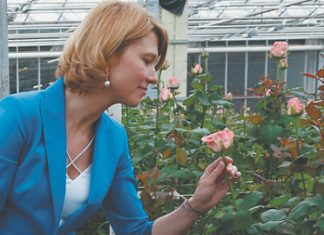 Инвестиции в сельское хозяйство России упали за год на 3,6%