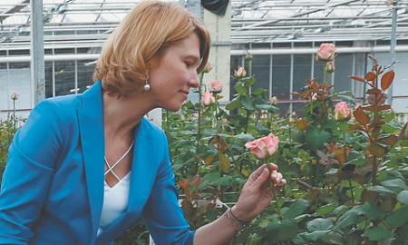 Инвестиции в сельское хозяйство России упали за год на 3,6%