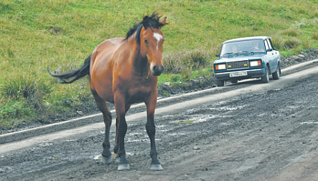 К 2030 году почти весь автопарк в России будет старше 10 лет