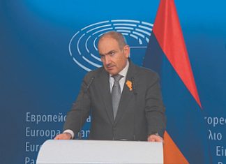 Пашинян защитил Грузию и пообещал мешать пророссийским олигархам