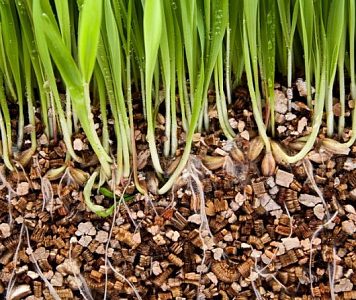 Вермикулит для растений: свойства, применение и тонкости использования