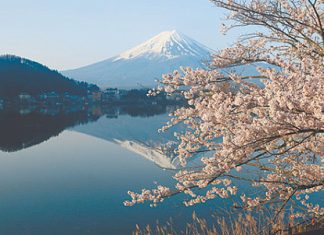 Про «перевосхищение», которое оглушает