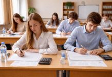 Сайты с советами по дополнительному доходу для пенсионеров: топ полезных ресурсов