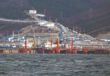 Нефть Казахстана и России может стать спасательным кругом для Японии