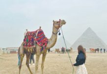 Путь в Город мертвых сквозь города живых