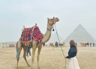 Путь в Город мертвых сквозь города живых