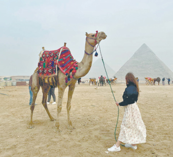 Путь в Город мертвых сквозь города живых