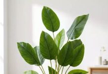 Искусственные растения: от дешёвой имитации до высокотехнологичного декора