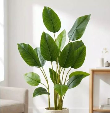 Искусственные растения: от дешёвой имитации до высокотехнологичного декора
