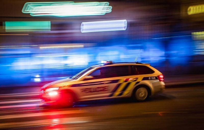 Чешский суд взял под стражу россиянина Александра Франчетти