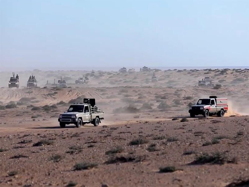 Глава МВД Ливии обвинил наемников из ЧВК Вагнера в применении химоружия