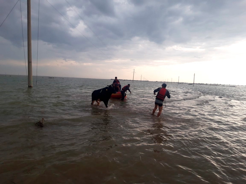 Из-за прорыва дамбы водохранилища, построенного с огромными хищениями, в Узбекистане и Казахстане эвакуированы десятки тысяч жителей (ВИДЕО, ФОТО)