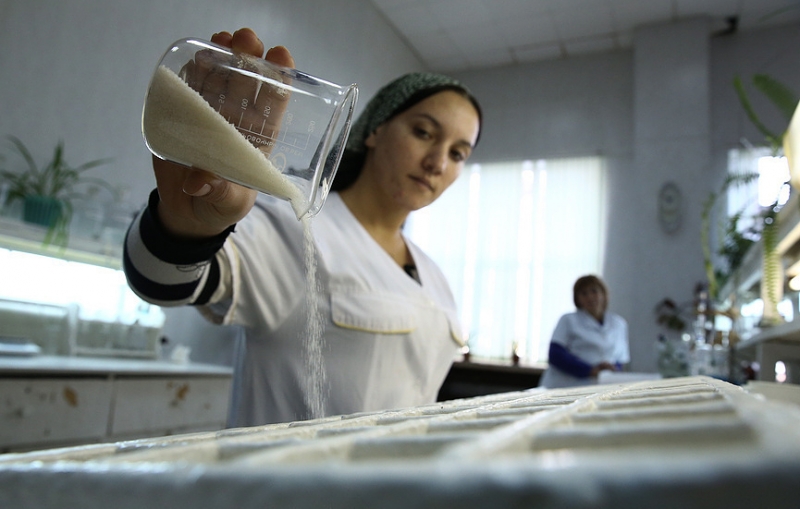 "Известия": российские кондитеры пожаловались на высокую стоимость сахара