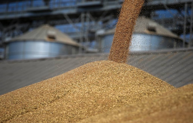 МЭР не исключает дальнейшей корректировки механизма регулирования экспорта зерновых