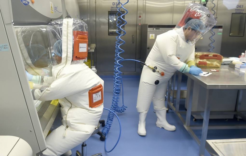 Мутации коронавируса могут сделать его более агрессивным