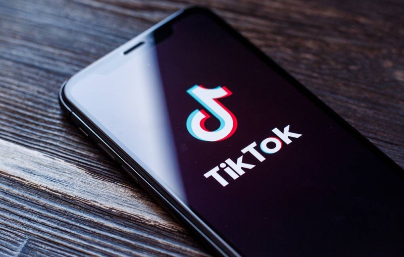 МВД привлечет к ответственности TikTok-блогеров, срывавших шевроны с полицейской формы

