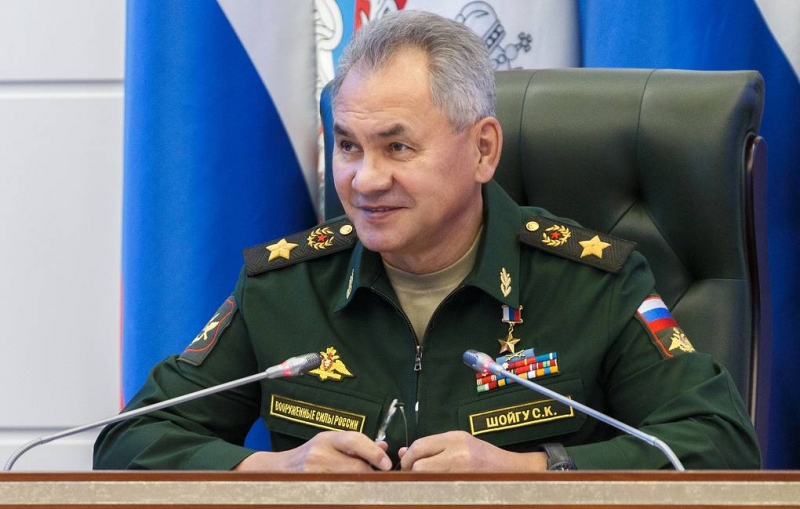 Шойгу рассказал, как проходила подготовка визита Путина в Сирию

