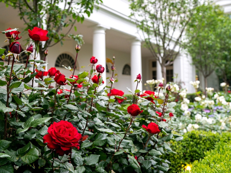 Трамп перечислил зарплату за первый квартал на разработку лекарств от коронавируса