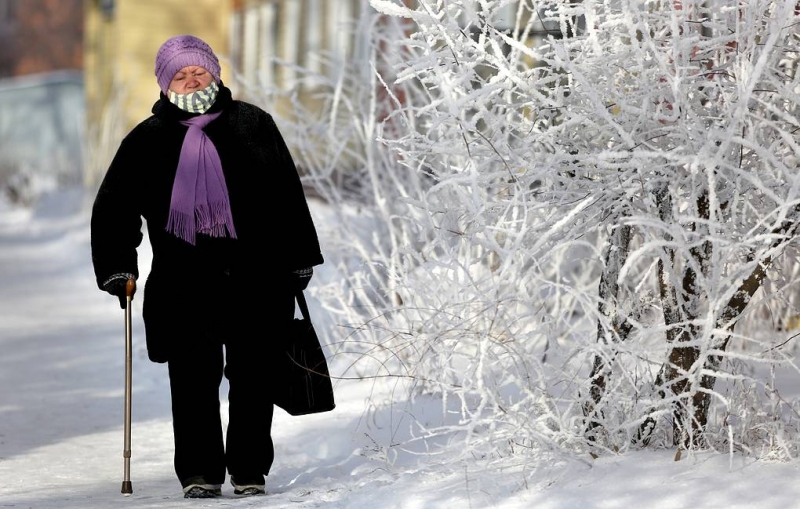 В Подмосковье к середине недели ожидаются морозы до 30 градусов