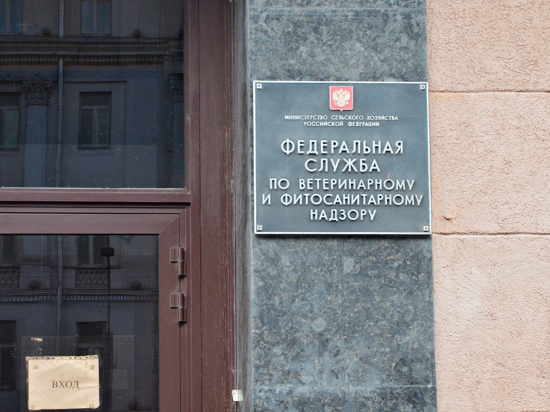 Задержанная в Испании сотрудница Россельхознадзора, которой грозила экстрадиция в США, вернулась в Россию